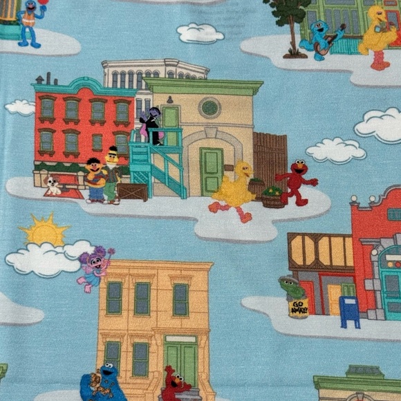 Bundle of Joy Sesame Street Bamboo Daywear / Playwear Shirt – New With Tags - Picture 3 of 4